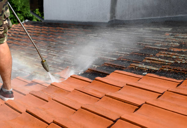 Best House Pressure Washing  in Whitewright, TX