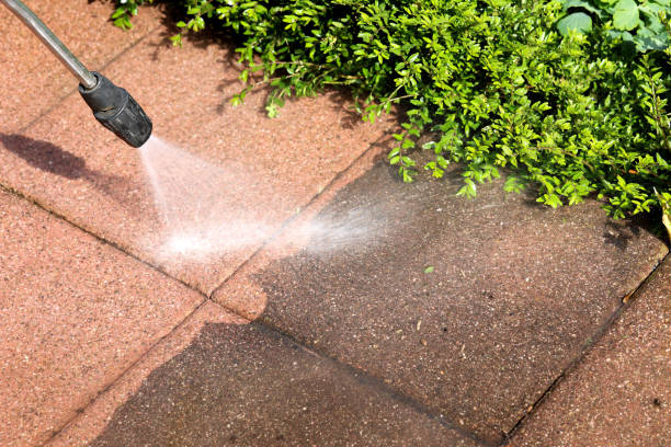 Best Roof Power Washing Services  in Whitewright, TX